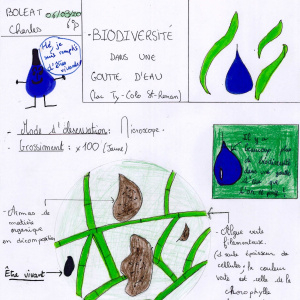 Biodiv gtte eau_2020_03 copie