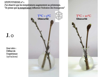 Le Potager Verger Elementaire Page 6